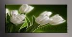 LED obraz 120x50cm vzor - bl tulipny