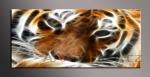 LED obraz 120x50cm vzor tygr