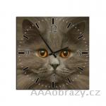 Obraz s hodinami 30x30cm vzor koťátko