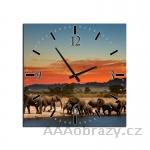 Obraz s hodinami 30x30cm vzor afrika, slon