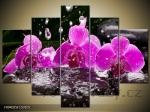 Obraz 5D 150x105 - orchideje