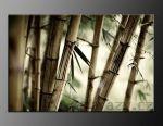 LED obraz 100x70cm vzor 194 bambus