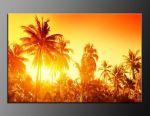 LED obraz 100x70cm vzor 499 vchod slunce, palma