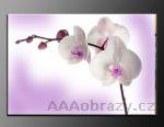 LED obraz 120x80cm vzor 62 orchideje