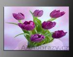 LED obraz 120x80cm vzor 333 fialov tulipny