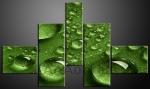 Obraz 5D 165x100cm vzor 469 kapka vody makro na zelenm list