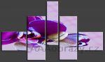 Obraz 5D 140x80cm vzor 15 fialov kvtina