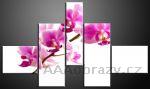 Obraz 5D 140x80cm vzor 306 rov orchidej