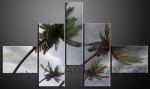 Obraz 5D 140x80cm vzor 474 palmy