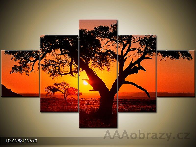 Obraz 5D - 125x70cm - strom a zpad slunce
