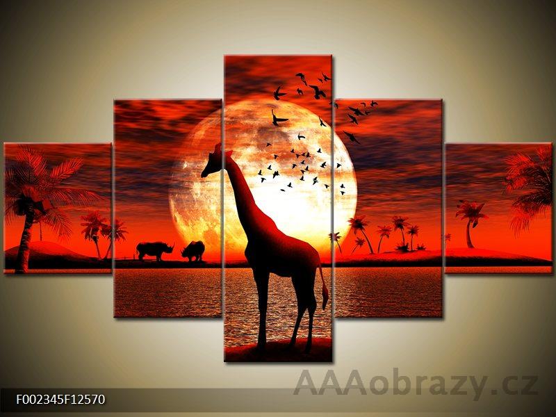 Obraz 5D - 125x70cm - vzor Afrika, irafa, zpad slunce