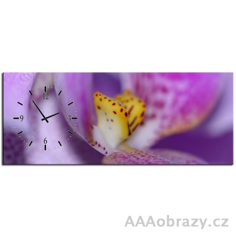Obraz s hodinami 100x40cm - fialov orchidej