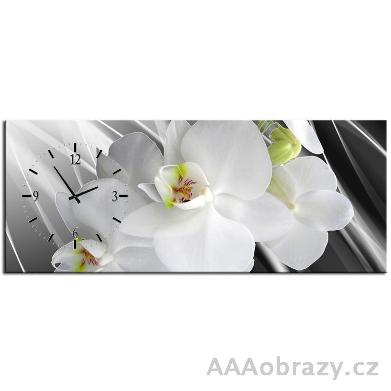 Obraz s hodinami 100x40cm - bl  orchidej