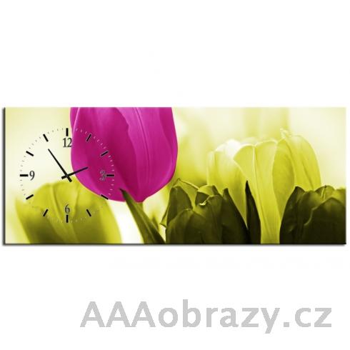 Obraz s hodinami 100x40cm - fialov tulipn