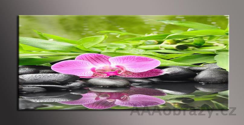 LED obraz 120x50cm vzor rov orchidej s kameny