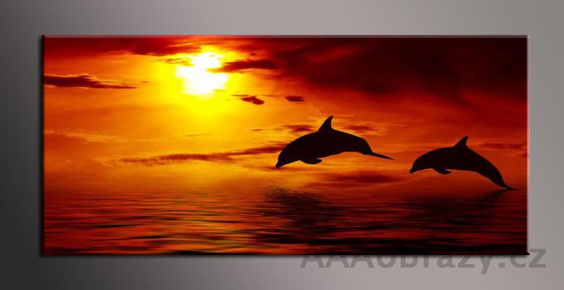 LED obraz 120x50cm vzor - delfini pi zpadu slunce