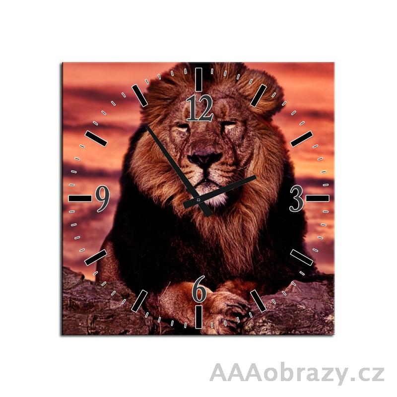 Obraz s hodinami 30x30cm vzor lev - krl zvat