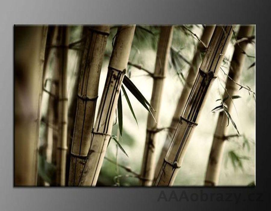 LED obraz 80x60cm vzor 194 bambus