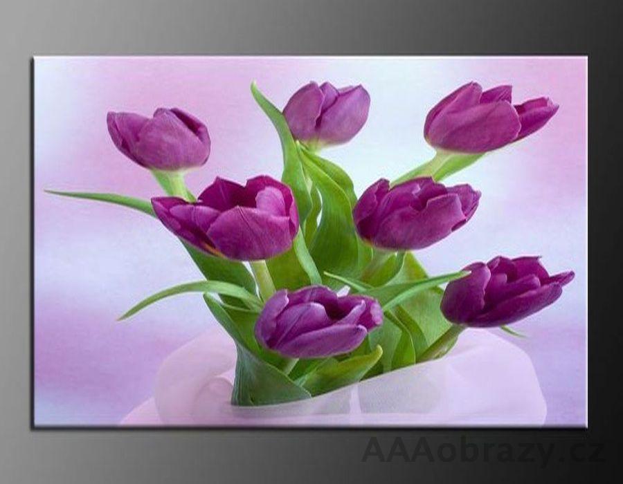 LED obraz 80x60cm vzor 333 fialov tulipny