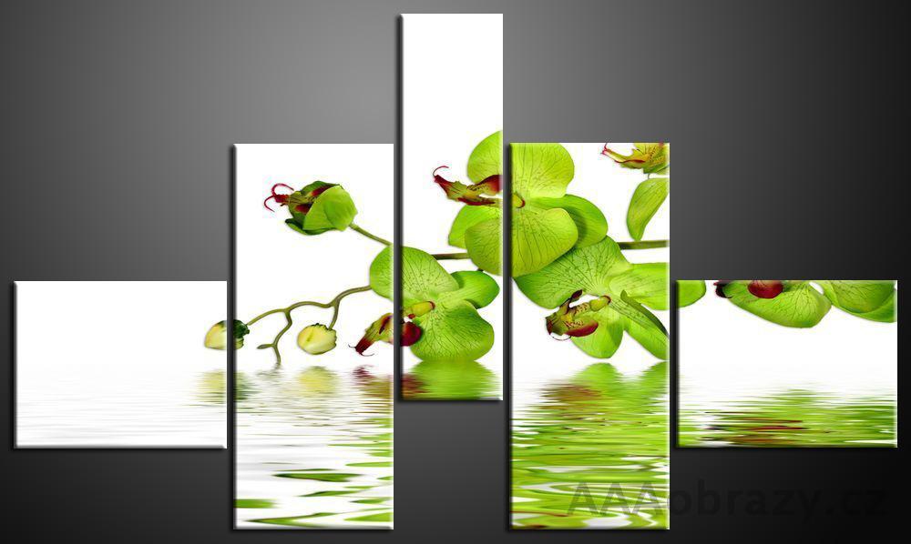 Obraz 5D 165x100cm vzor 205 zelen orchidej
