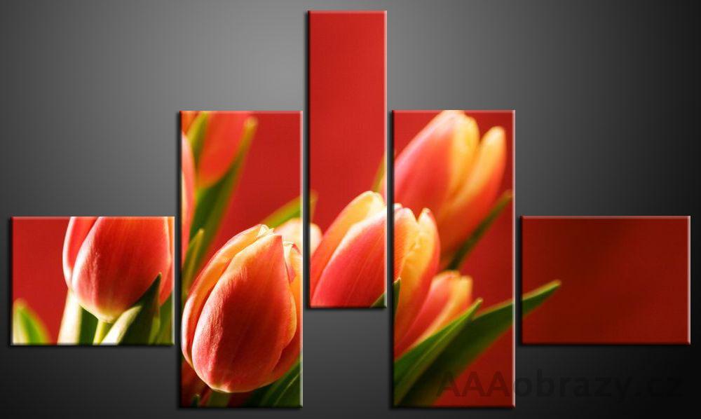Obraz 5D 165x100cm vzor 273 tulipn