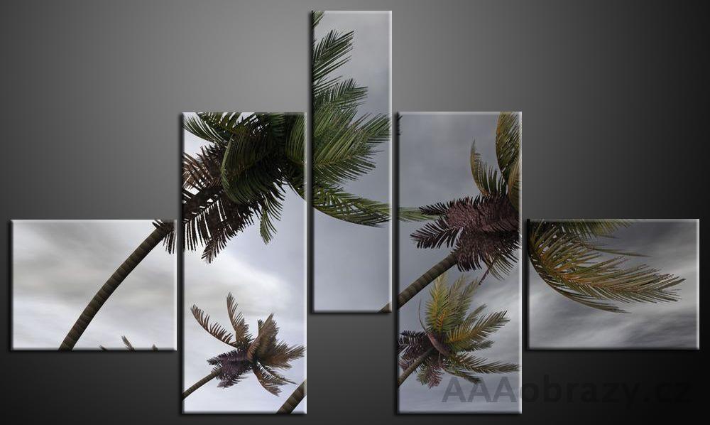 Obraz 5D 165x100cm vzor 474 palmy