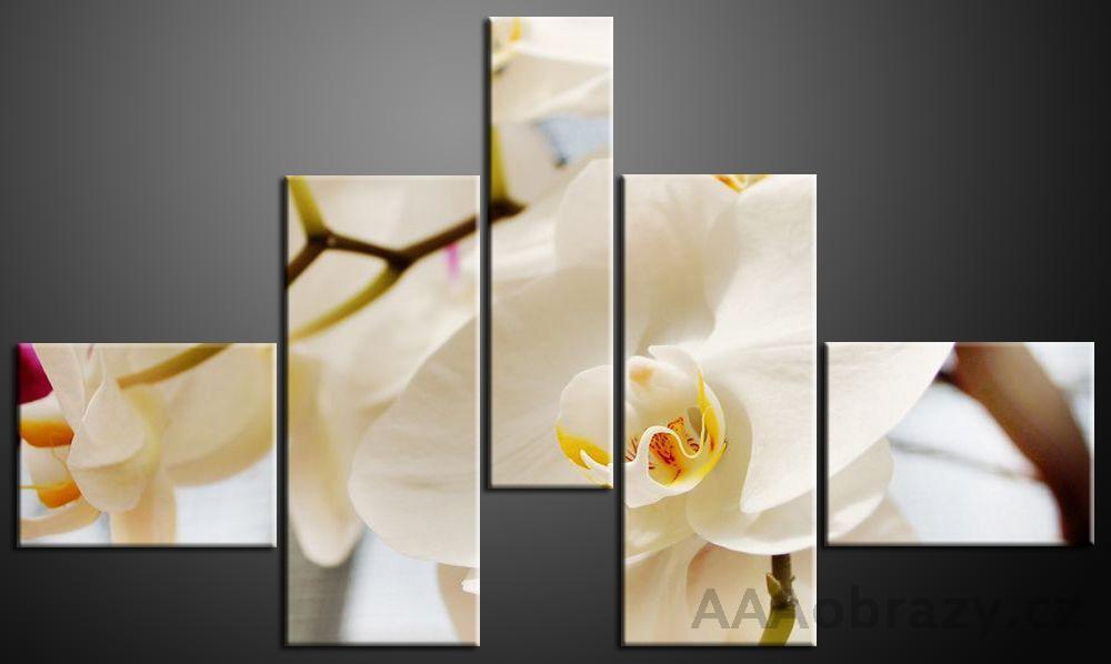 Obraz 5D 140x80cm vzor bl orchidej