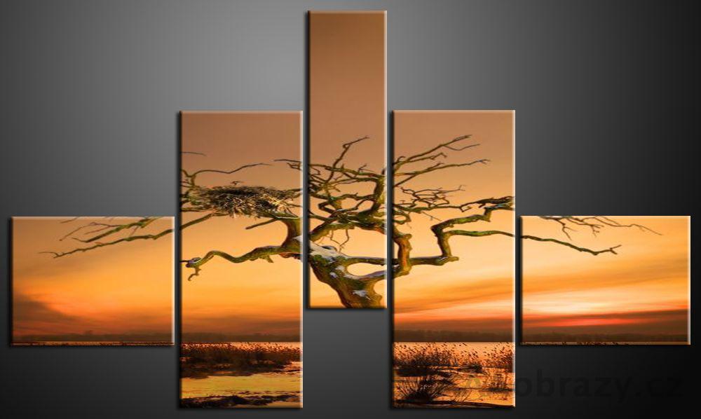 Obraz 5D 140x80cm vzor 565 strom a zpad slunce