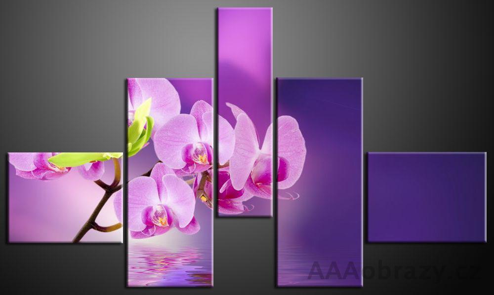 Obraz 5D 140x80cm vzor 633 fialov orchidej