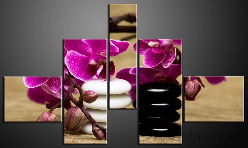 Obraz 5D 140x80cm vzor 744 orchideje a kameny